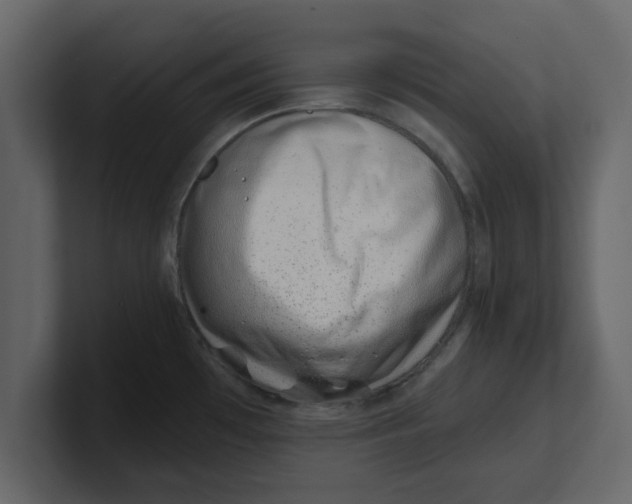 X0000100961481200807151347