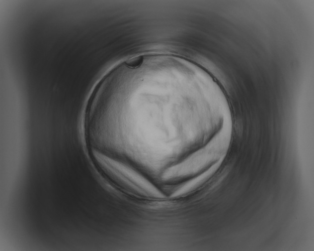 X0000100961482200807151347