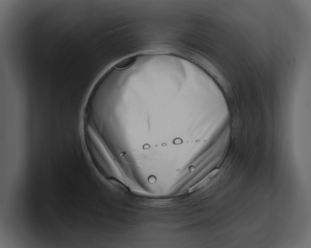 X0000100961484200807151347