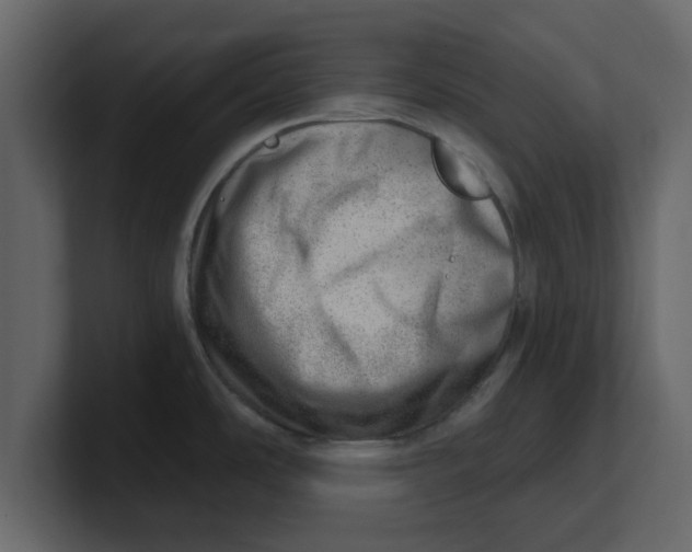 X0000100961486200807151347