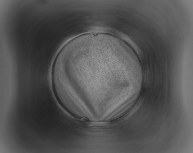 X0000100961487200807151347