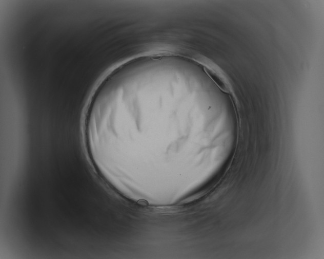 X0000100961488200807151347