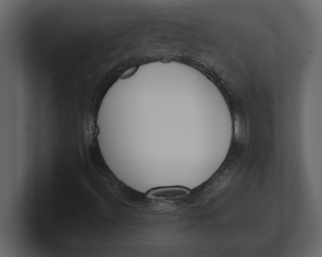 X0000100961492200807151347