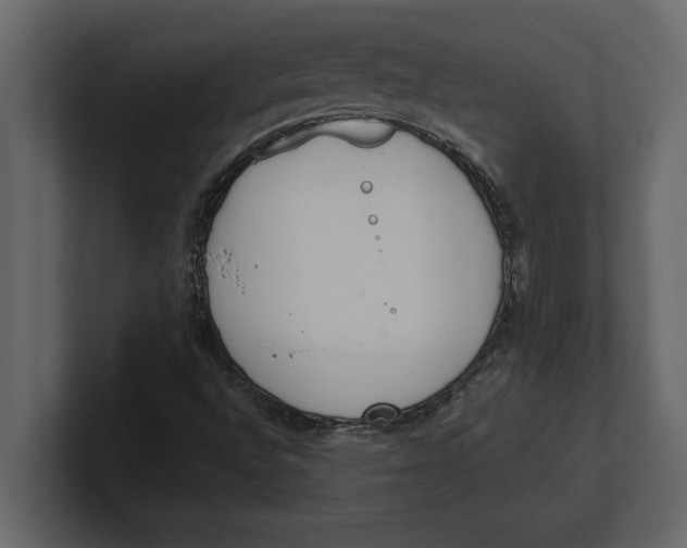 X0000100961496200807151347