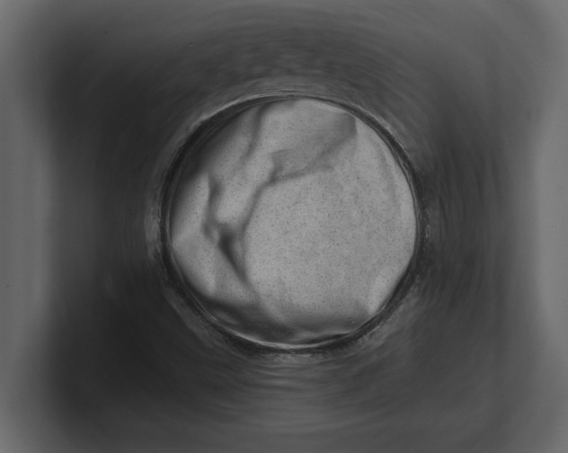 X0000100961499200807151347