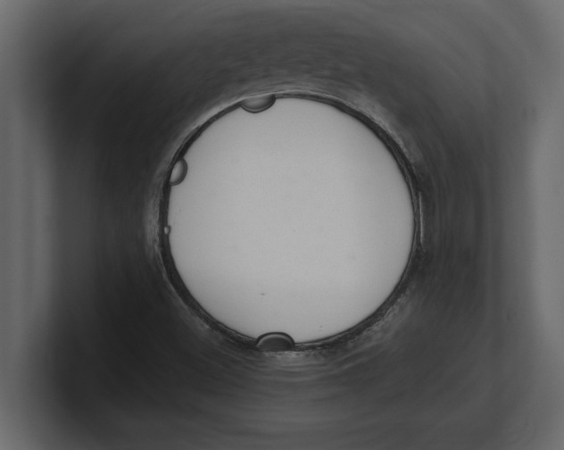 X0000100961500200807151347