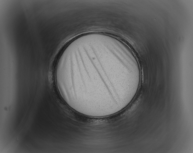 X0000100961501200807151347