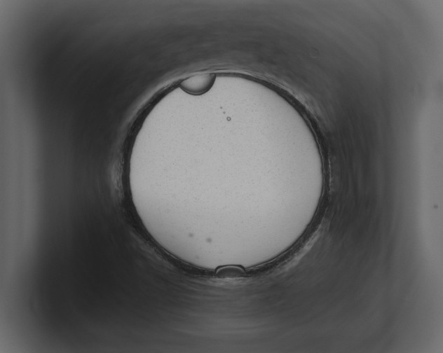 X0000100961502200807151347