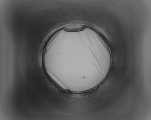 X0000100961504200807151347