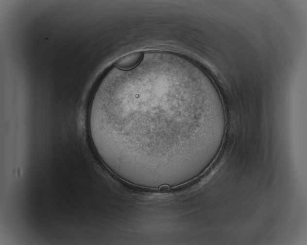 X0000100961506200807151347