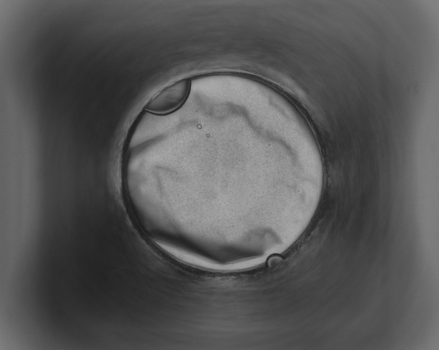 X0000100961512200807151347