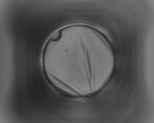 X0000100961516200807151347