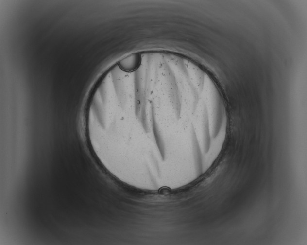 X0000100961517200807151347