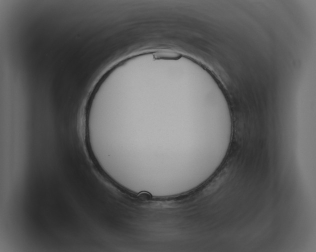 X0000100961519200807151347