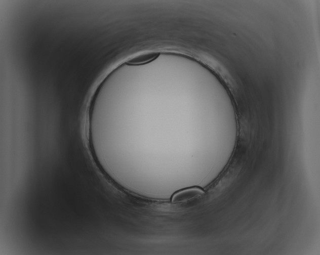 X0000100961520200807151347