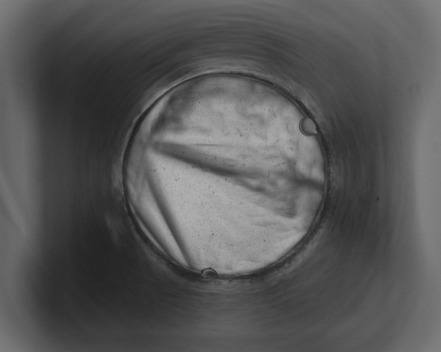 X0000100961521200807151347