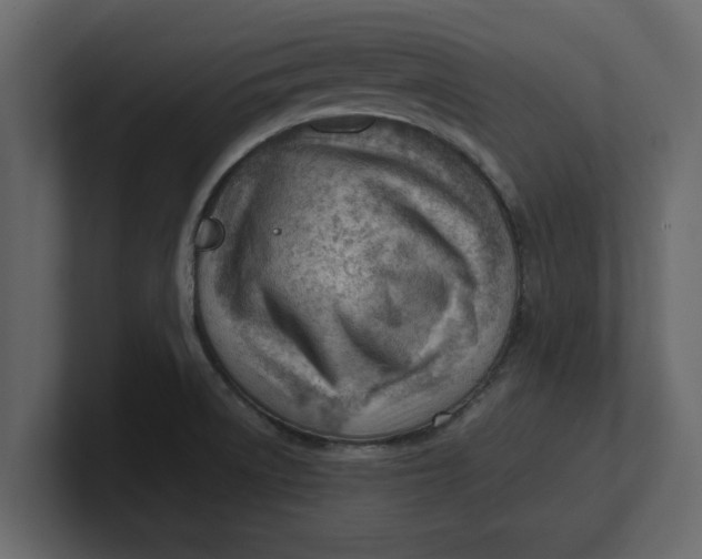 X0000100961522200807151347