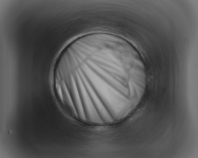 X0000100961523200807151347