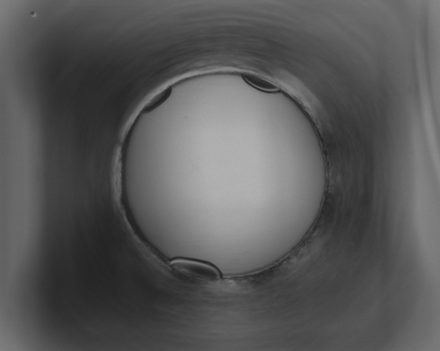 X0000100961524200807151347