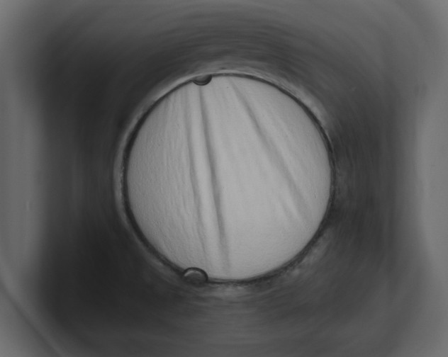 X0000100961525200807151347