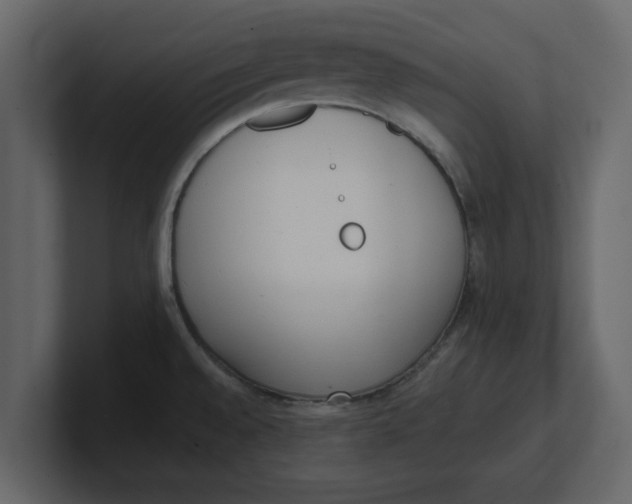 X0000100961528200807151347