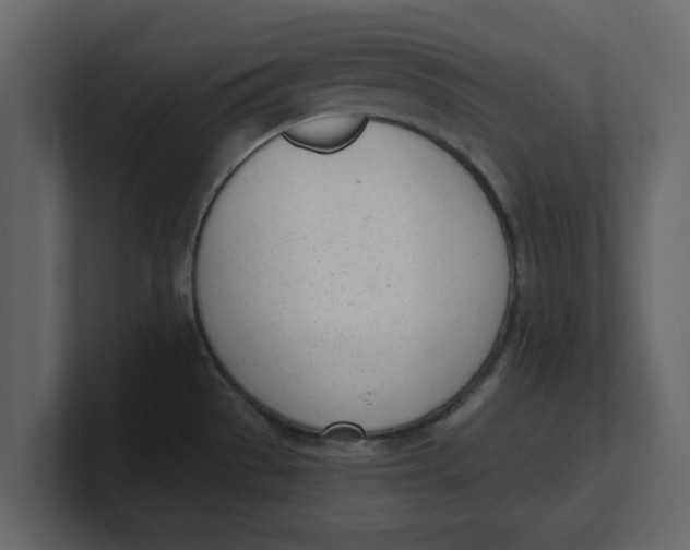 X0000100961529200807151347