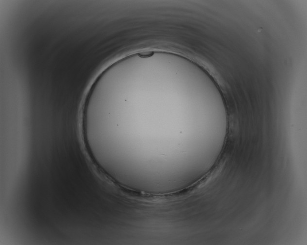 X0000100961530200807151347