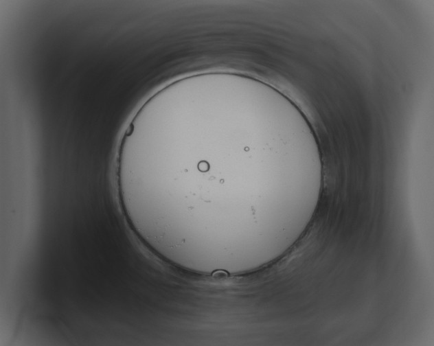 X0000100961532200807151347