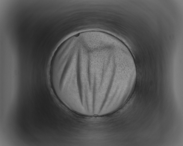 X0000100961534200807151347