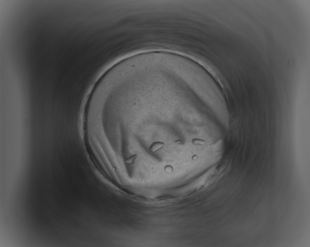 X0000100961535200807151347