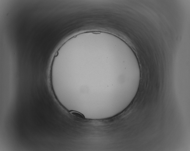 X0000100961536200807151347