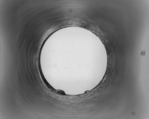 X0000100960003200807221156