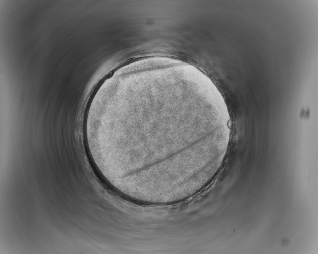 X0000100960004200807221156