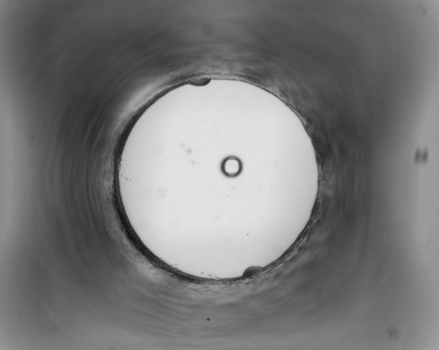 X0000100960005200807221156