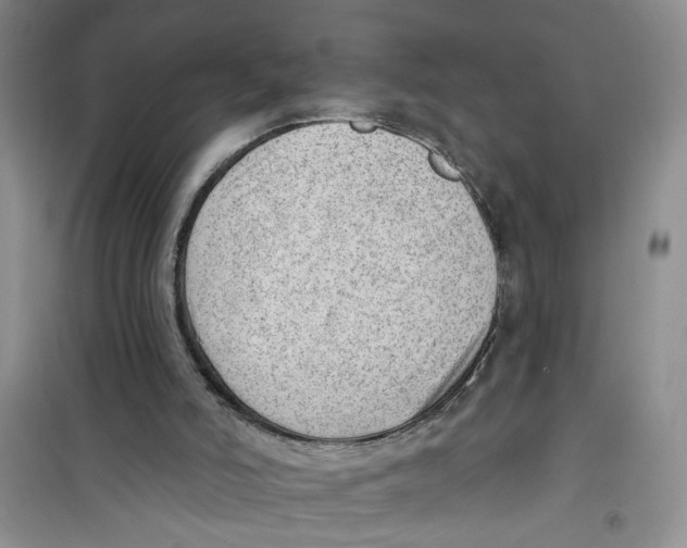 X0000100960006200807221156