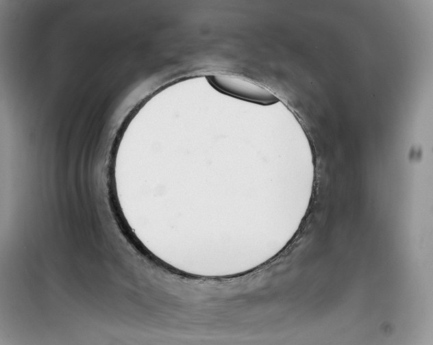 X0000100960007200807221156