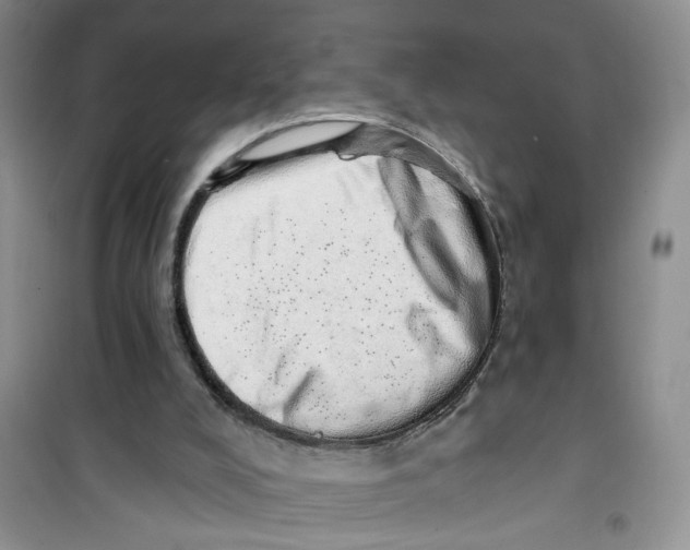 X0000100960008200807221156