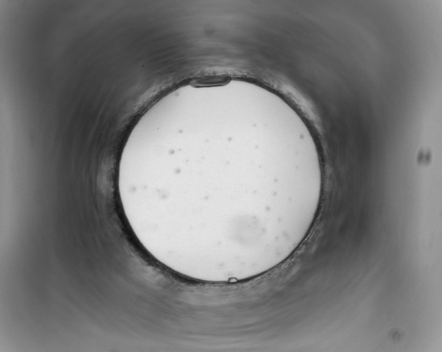 X0000100960009200807221156