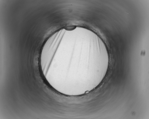 X0000100960010200807221156