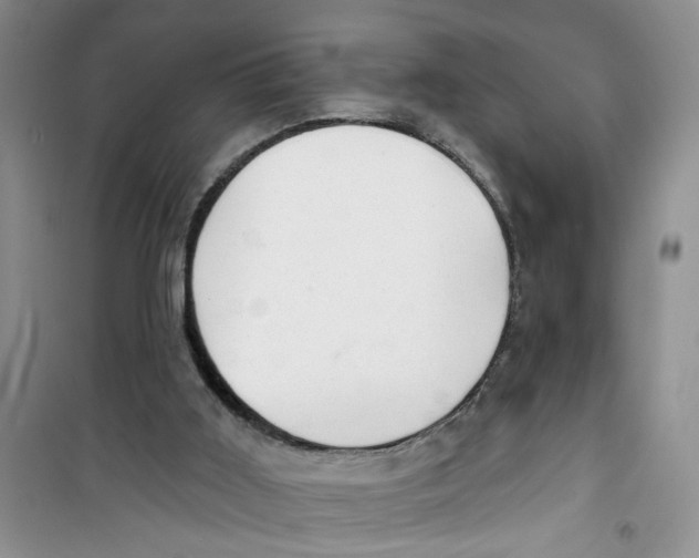 X0000100960011200807221156