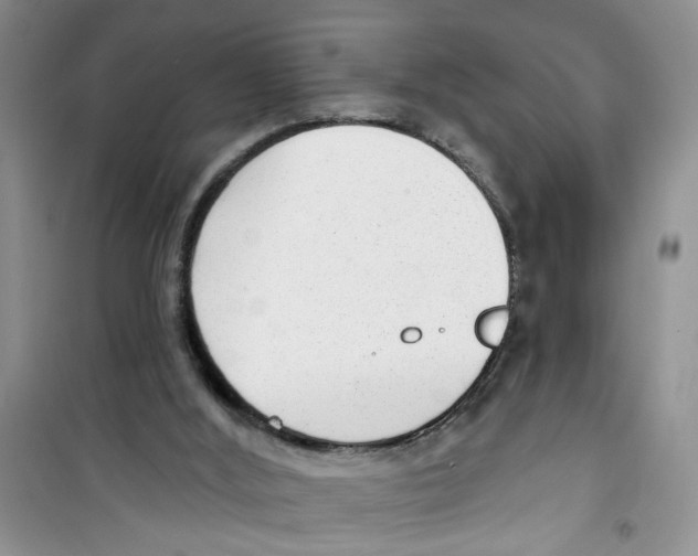 X0000100960012200807221156