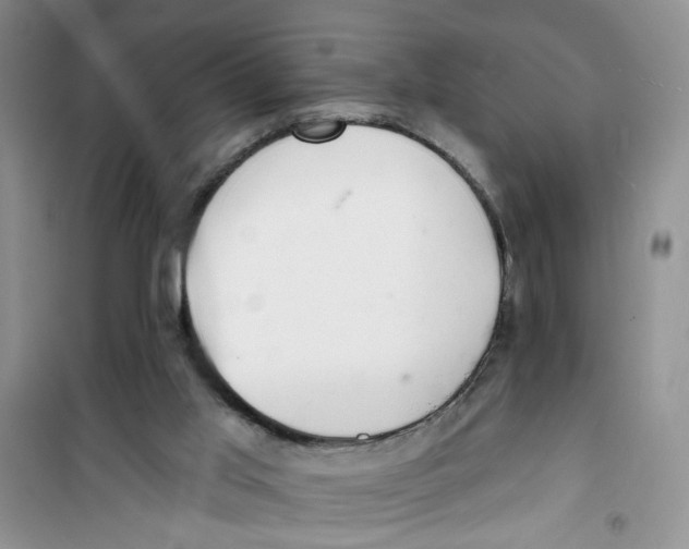 X0000100960013200807221156