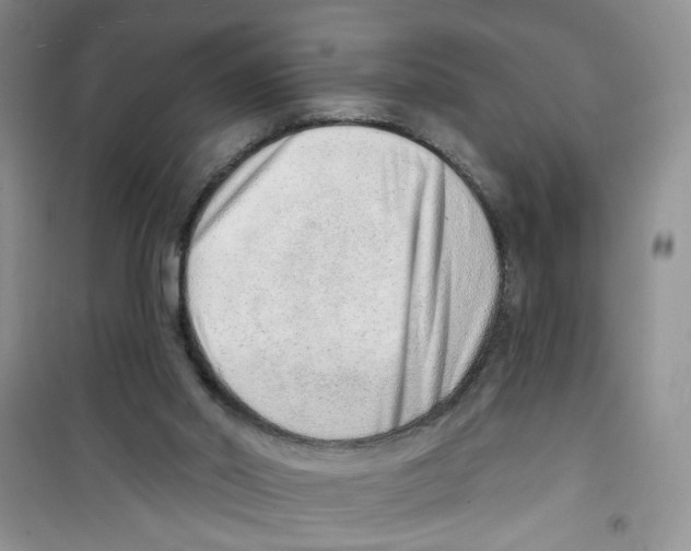 X0000100960014200807221156