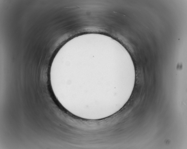 X0000100960015200807221156