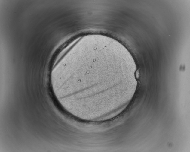 X0000100960016200807221156