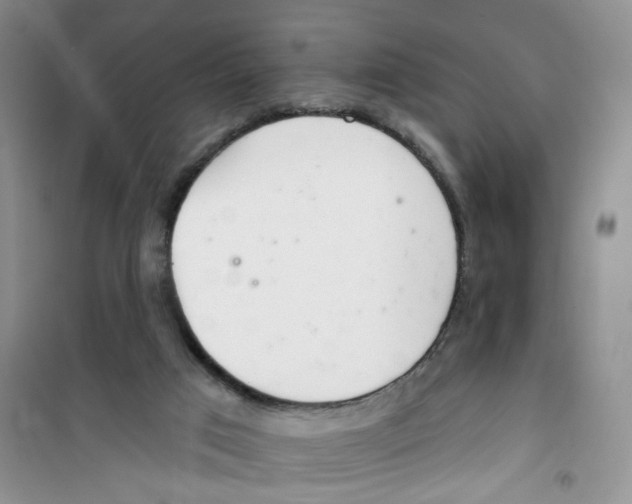 X0000100960017200807221156