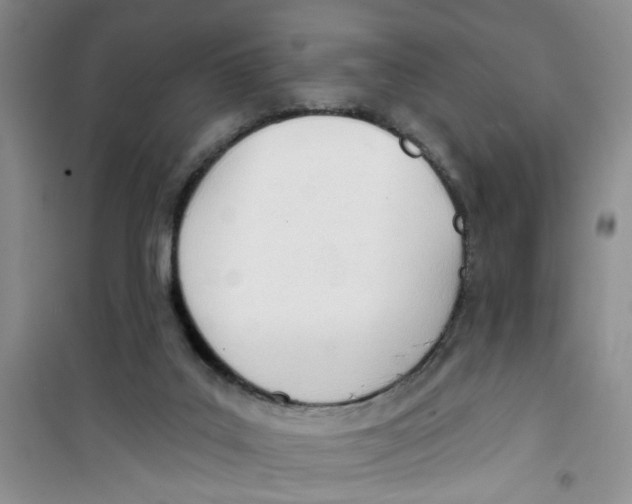 X0000100960019200807221156