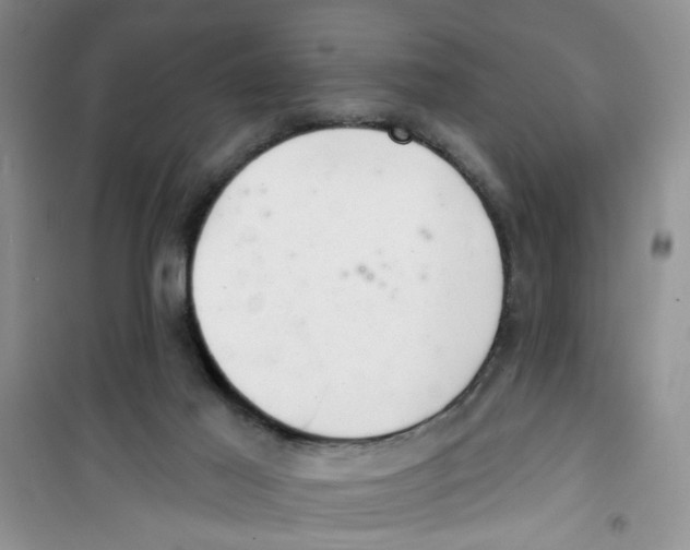 X0000100960021200807221156