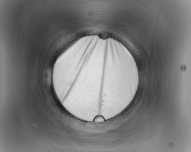 X0000100960022200807221156