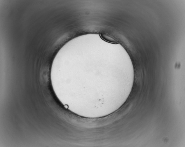 X0000100960023200807221156